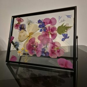 FLORI NEMURITOARE